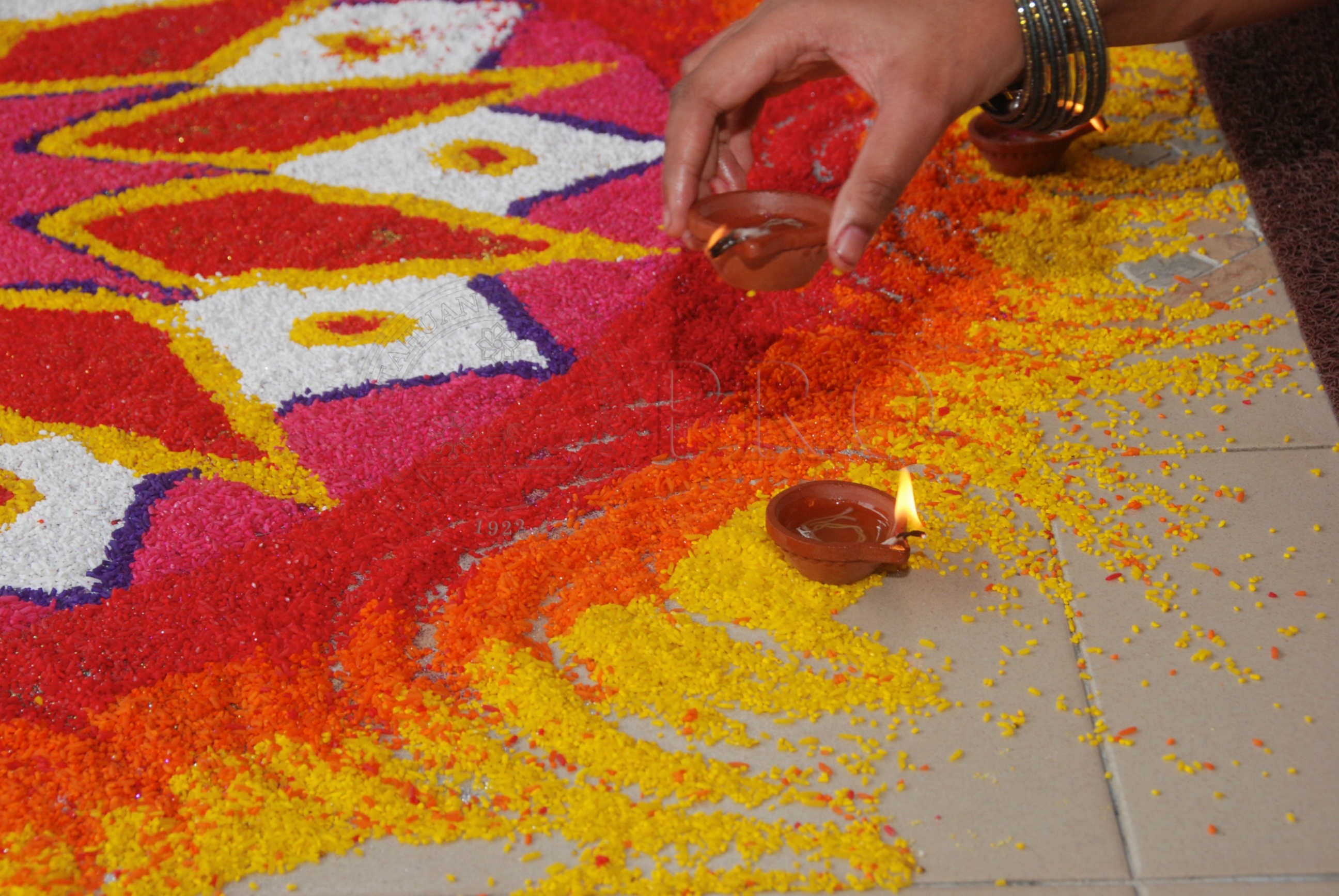 PRO 12 136 food DSC 9183